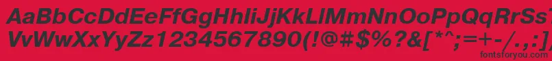 PragmaticakoicttBolditalic Font – Black Fonts on Red Background