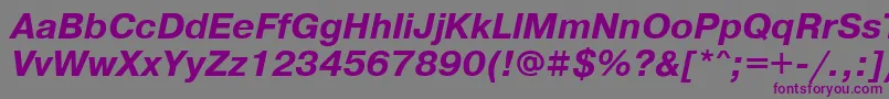 PragmaticakoicttBolditalic Font – Purple Fonts on Gray Background