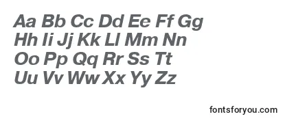 PragmaticakoicttBolditalic-fontti