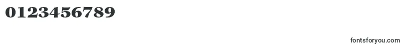 KeplerstdBlackextcapt Font – Fonts for Numbers and Digits