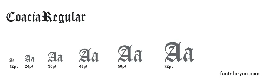 CoaciaRegular Font Sizes