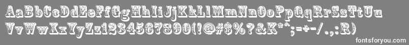 CountryWestern Font – White Fonts on Gray Background