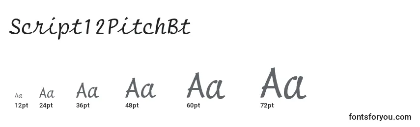 Größen der Schriftart Script12PitchBt