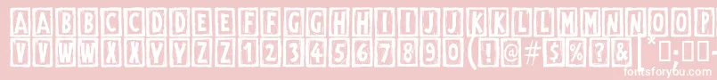 DigitalWoodcutsOpenItcTt Font – White Fonts on Pink Background