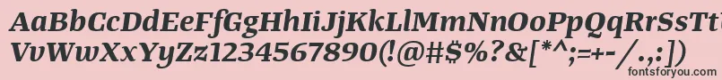 TangerserifwideBolditalic Font – Black Fonts on Pink Background