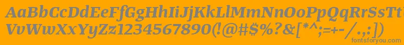 TangerserifwideBolditalic Font – Gray Fonts on Orange Background