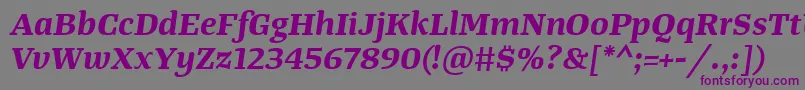 TangerserifwideBolditalic Font – Purple Fonts on Gray Background