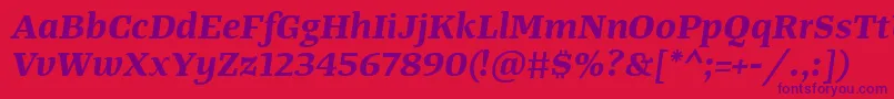 TangerserifwideBolditalic Font – Purple Fonts on Red Background