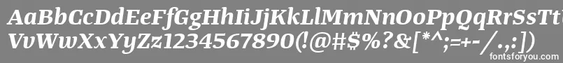 More about TangerserifwideBolditalic Font TangerserifwideBolditalic Font – White Fonts on Gray Background