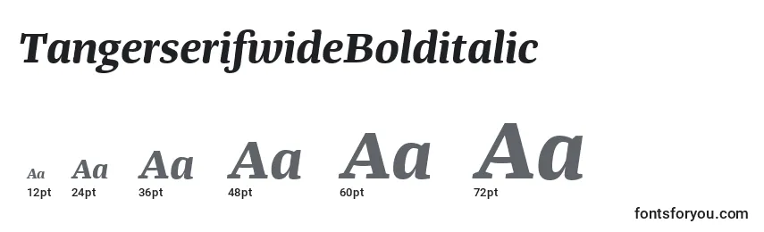 TangerserifwideBolditalic Font Sizes