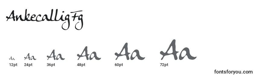 AnkecalligFg Font Sizes