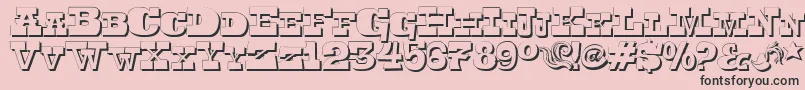 Toersh Font – Black Fonts on Pink Background