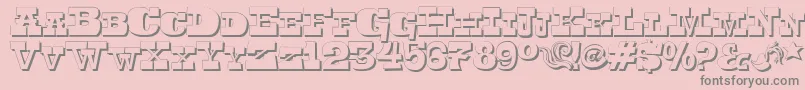 Toersh Font – Gray Fonts on Pink Background