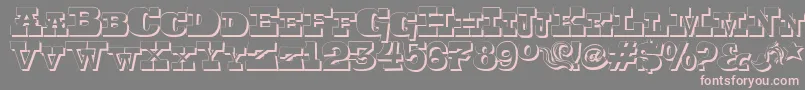 Toersh Font – Pink Fonts on Gray Background