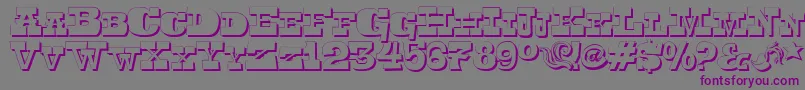 Toersh Font – Purple Fonts on Gray Background