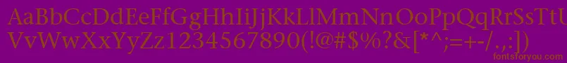 MesouranSerifSsi Font – Brown Fonts on Purple Background