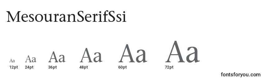 Размеры шрифта MesouranSerifSsi