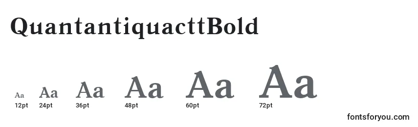 Размеры шрифта QuantantiquacttBold