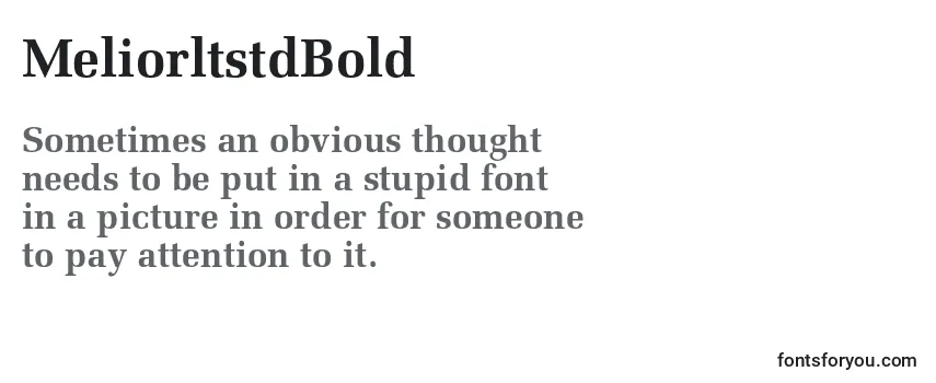 Review of the MeliorltstdBold Font
