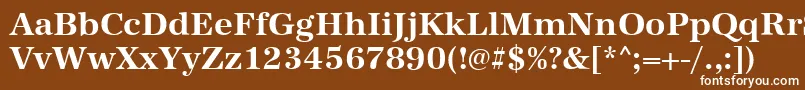 フォントAntiquastdBold – 茶色の背景に白い文字