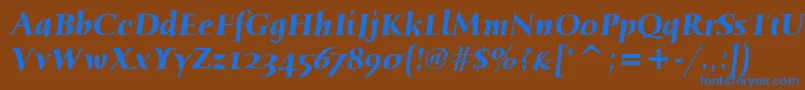 HumanaSerifItcBoldItalic Font – Blue Fonts on Brown Background