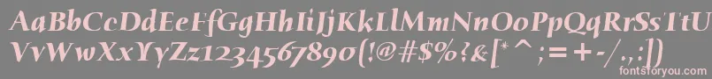 HumanaSerifItcBoldItalic Font – Pink Fonts on Gray Background