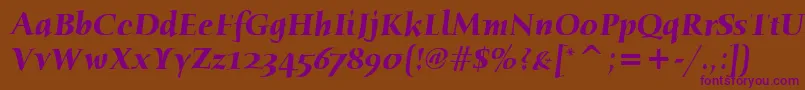 HumanaSerifItcBoldItalic Font – Purple Fonts on Brown Background