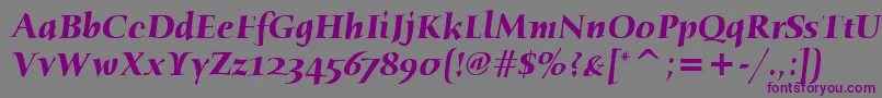 Шрифт HumanaSerifItcBoldItalic – фиолетовые шрифты на сером фоне