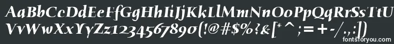 HumanaSerifItcBoldItalic-fontti – valkoiset fontit mustalla taustalla