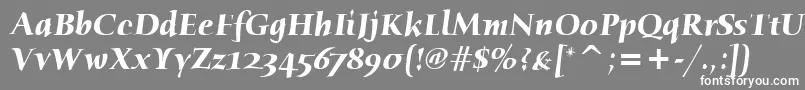 HumanaSerifItcBoldItalic-fontti – valkoiset fontit harmaalla taustalla