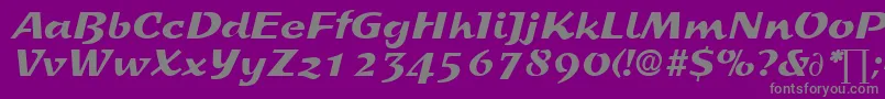 More about SprintDb Font SprintDb Font – Gray Fonts on Purple Background