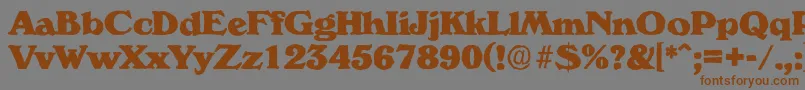VeronaantiqueHeavyRegular Font – Brown Fonts on Gray Background