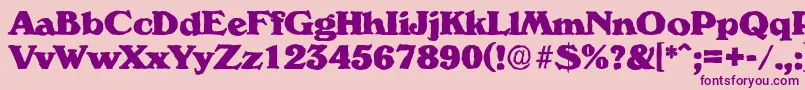 VeronaantiqueHeavyRegular Font – Purple Fonts on Pink Background