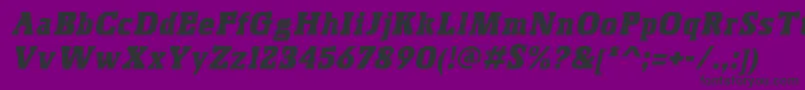 Police BoskoItalic – polices noires sur fond violet