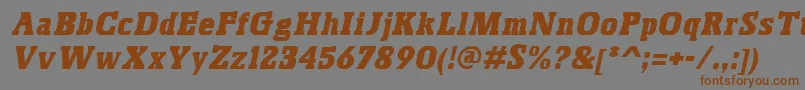 BoskoItalic Font – Brown Fonts on Gray Background