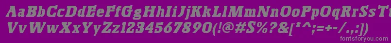 BoskoItalic Font – Gray Fonts on Purple Background