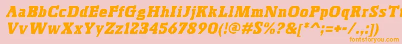 BoskoItalic Font – Orange Fonts on Pink Background