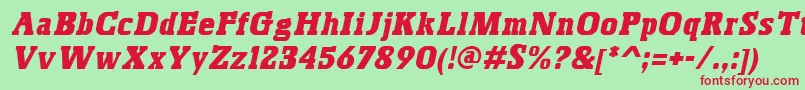 BoskoItalic Font – Red Fonts on Green Background