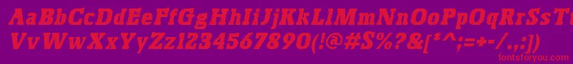 BoskoItalic Font – Red Fonts on Purple Background