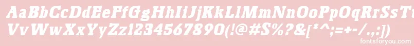 BoskoItalic Font – White Fonts on Pink Background