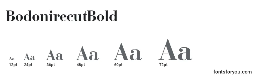 BodonirecutBold Font Sizes