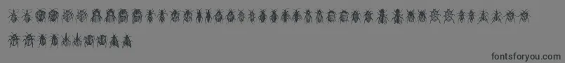 More about Buggys Font Buggys Font – Black Fonts on Gray Background