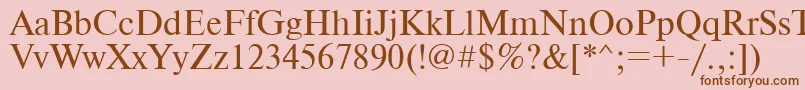 Newton Font – Brown Fonts on Pink Background