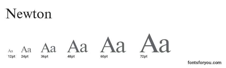 Размеры шрифта Newton