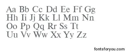 Обзор шрифта Newton