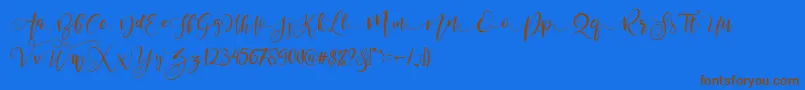ValledofasJustPersonalOnly Font – Brown Fonts on Blue Background