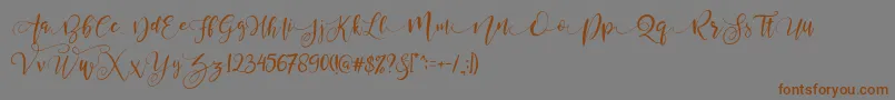 Шрифт ValledofasJustPersonalOnly – коричневые шрифты на сером фоне