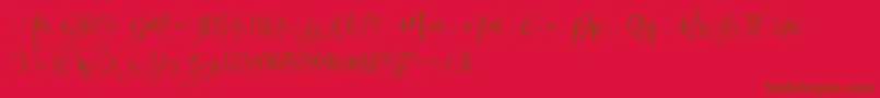ValledofasJustPersonalOnly-fontti – ruskeat fontit punaisella taustalla