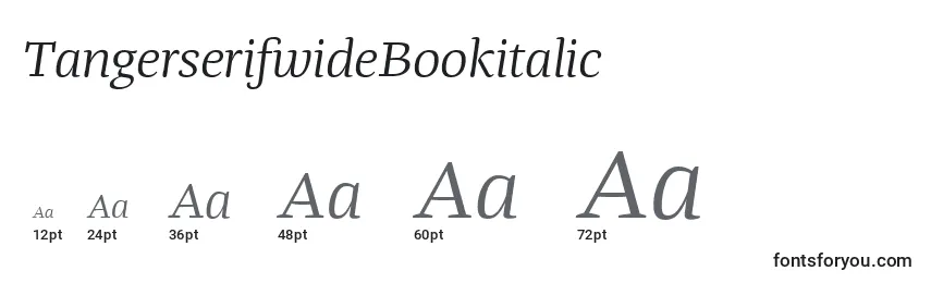 TangerserifwideBookitalic Font Sizes