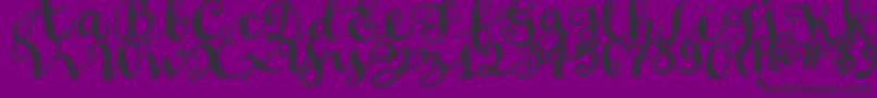 SoftScript Font – Black Fonts on Purple Background